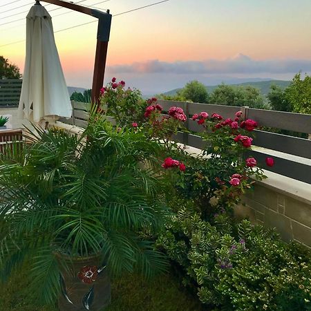 Villa Chryssi Kíssamos Екстериор снимка